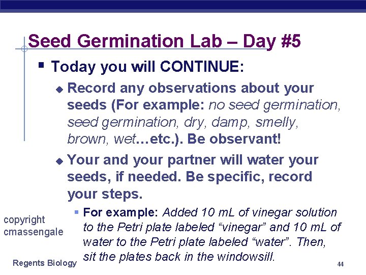 Seed Germination Lab – Day #5 § Today you will CONTINUE: Record any observations