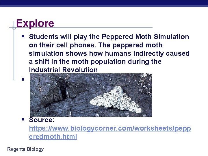 Explore § Students will play the Peppered Moth Simulation § on their cell phones.