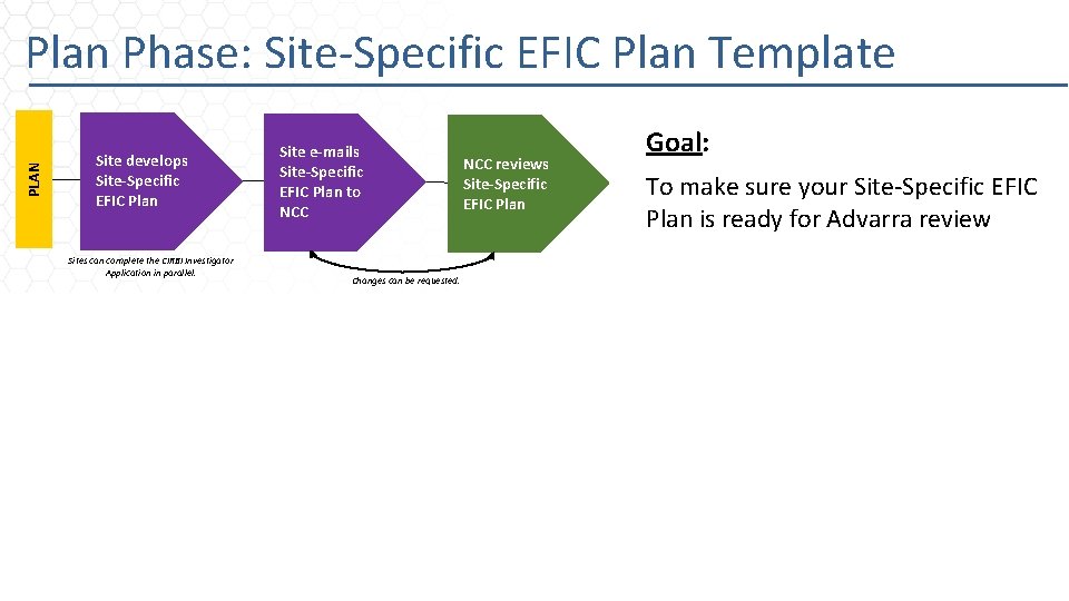 PLAN Plan Phase: Site-Specific EFIC Plan Template Site develops Site-Specific EFIC Plan Sites can