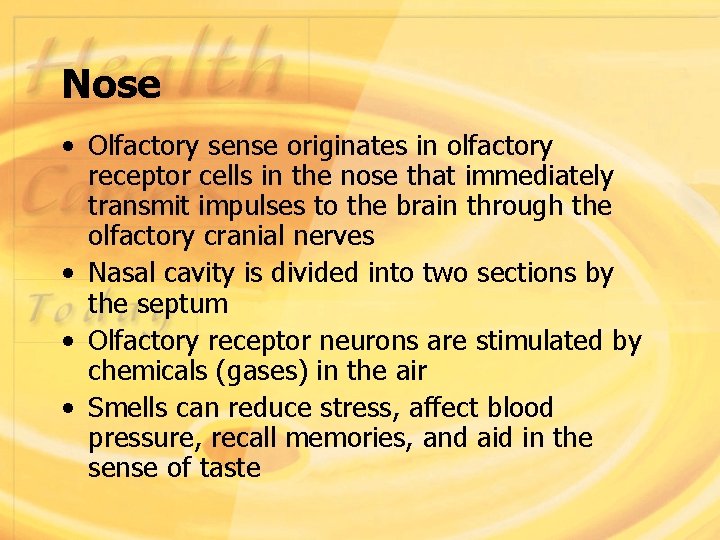 Nose • Olfactory sense originates in olfactory receptor cells in the nose that immediately