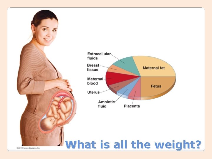 What is all the weight? 