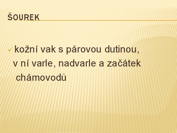 ŠOUREK ü kožní vak s párovou dutinou, v ní varle, nadvarle a začátek chámovodů