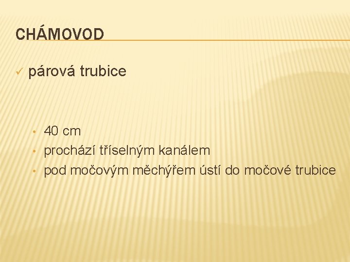 CHÁMOVOD ü párová trubice • • • 40 cm prochází tříselným kanálem pod močovým