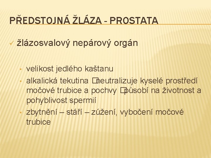 PŘEDSTOJNÁ ŽLÁZA - PROSTATA ü žlázosvalový nepárový orgán • • • velikost jedlého kaštanu