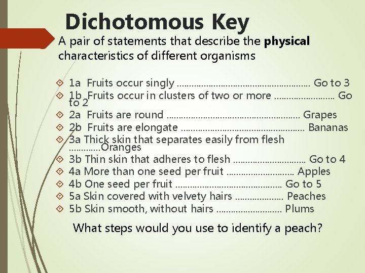 Dichotomous Key A pair of statements that describe the physical characteristics of different organisms