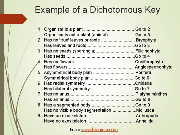 Example of a Dichotomous Key 1. Organism is a plant. . . . .