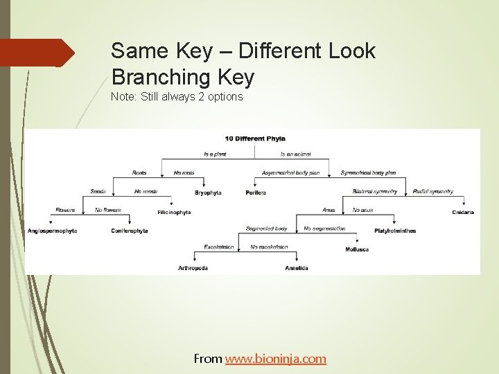 Same Key – Different Look Branching Key Note: Still always 2 options From www.