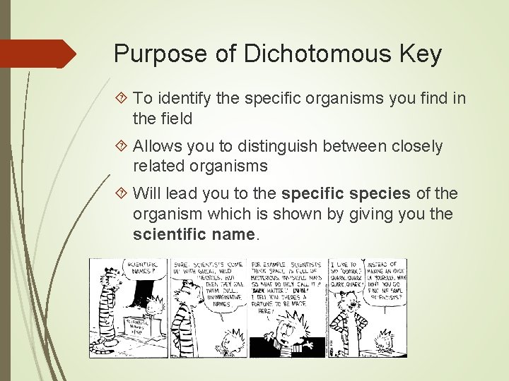 Purpose of Dichotomous Key To identify the specific organisms you find in the field