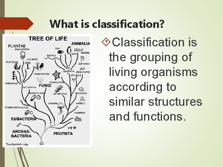 What is classification? Classification is the grouping of living organisms according to similar structures