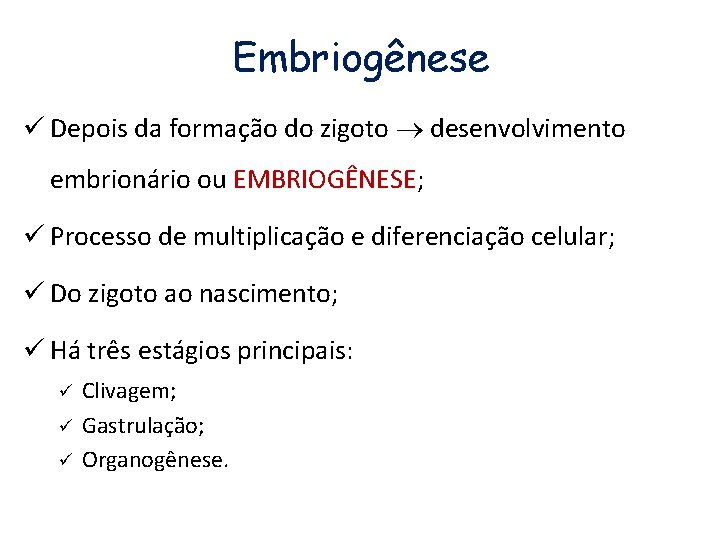 Embriogênese ü Depois da formação do zigoto desenvolvimento embrionário ou EMBRIOGÊNESE; ü Processo de