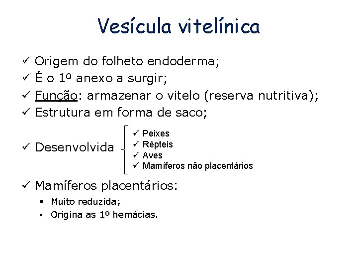 Vesícula vitelínica ü ü Origem do folheto endoderma; É o 1º anexo a surgir;