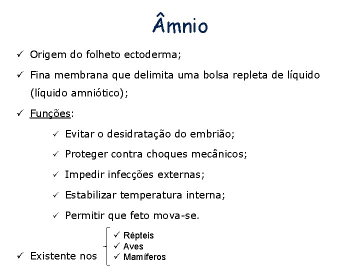  mnio ü Origem do folheto ectoderma; ü Fina membrana que delimita uma bolsa