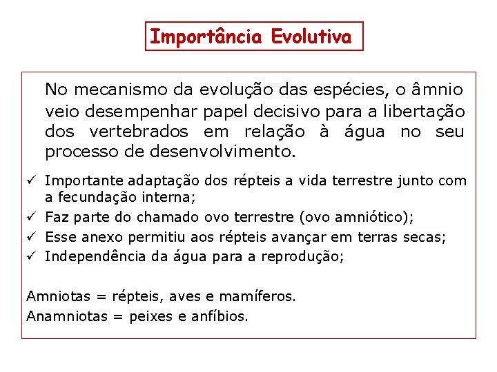 Importância Evolutiva No mecanismo da evolução das espécies, o âmnio veio desempenhar papel decisivo