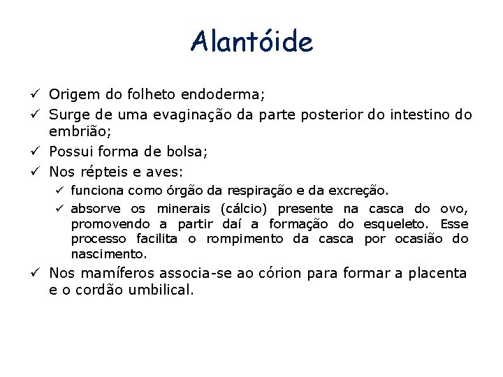 Alantóide ü Origem do folheto endoderma; ü Surge de uma evaginação da parte posterior