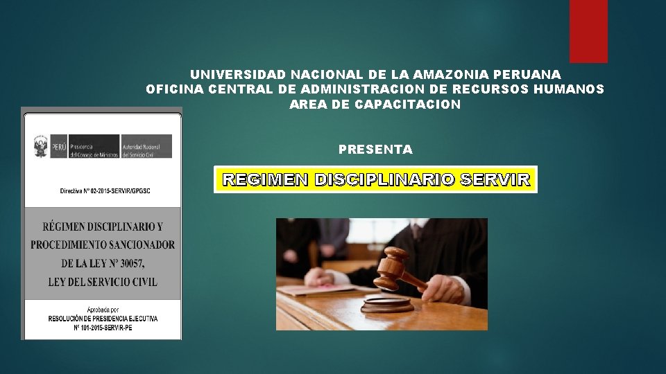 UNIVERSIDAD NACIONAL DE LA AMAZONIA PERUANA OFICINA CENTRAL DE ADMINISTRACION DE RECURSOS HUMANOS AREA