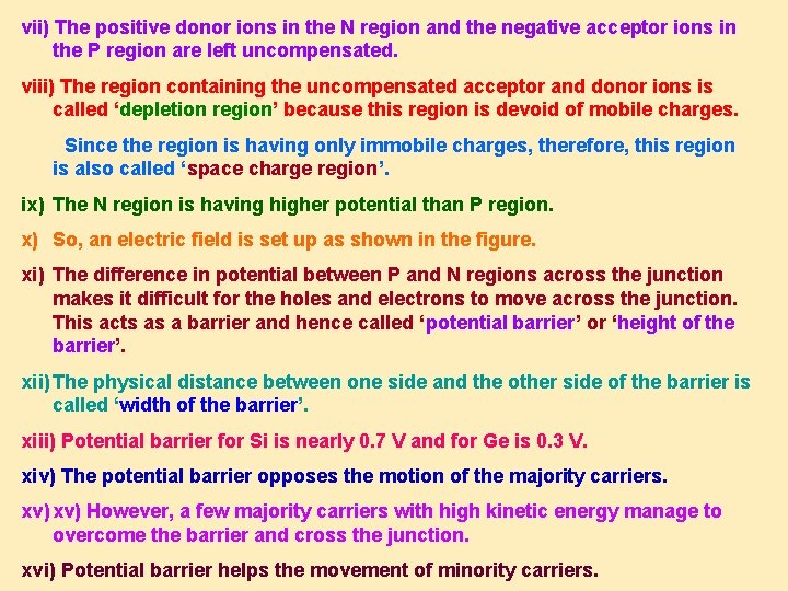 vii) The positive donor ions in the N region and the negative acceptor ions