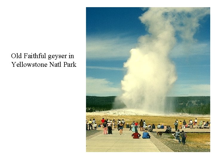Old Faithful geyser in Yellowstone Natl Park 