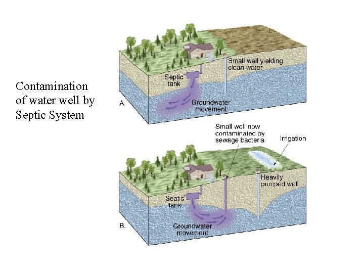 Contamination of water well by Septic System 