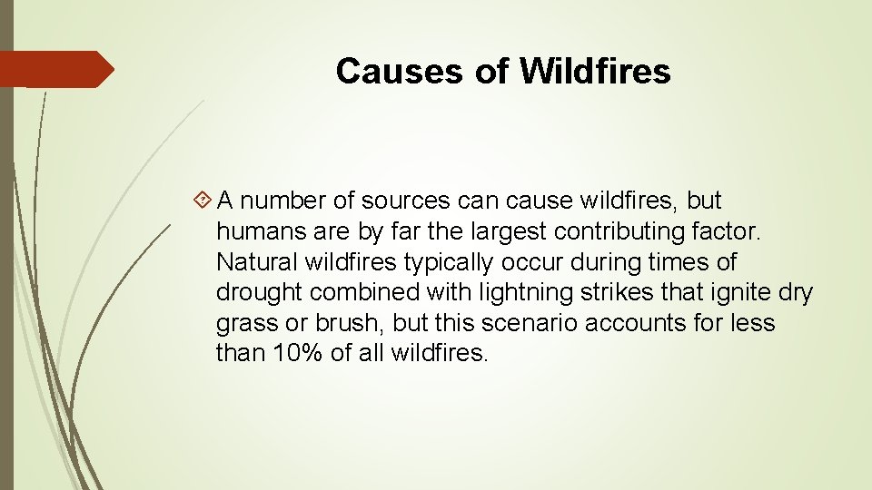 Causes of Wildfires A number of sources can cause wildfires, but humans are by