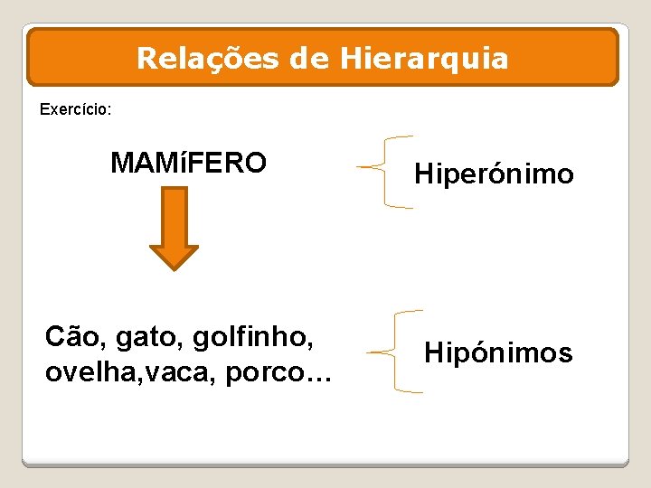 Relações de Hierarquia Exercício: MAMíFERO Hiperónimo Cão, gato, golfinho, ovelha, vaca, porco… Hipónimos 