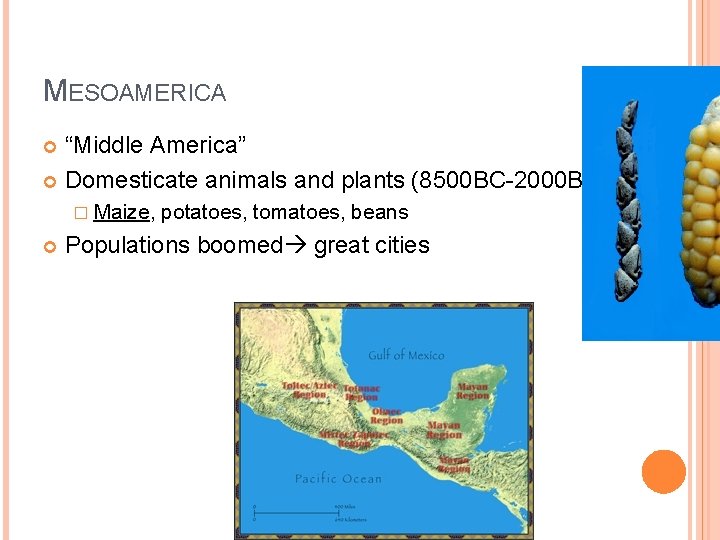 MESOAMERICA “Middle America” Domesticate animals and plants (8500 BC-2000 BC) � Maize, potatoes, tomatoes,