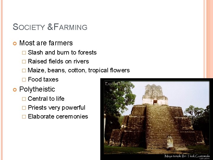 SOCIETY & FARMING Most are farmers � Slash and burn to forests � Raised