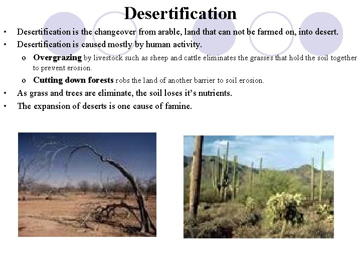 Desertification • • Desertification is the changeover from arable, land that can not be