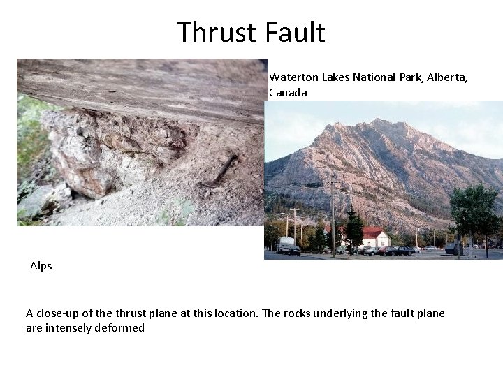 Thrust Fault Waterton Lakes National Park, Alberta, Canada Alps A close-up of the thrust