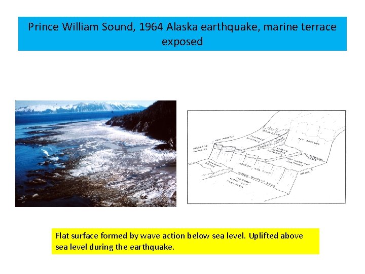 Prince William Sound, 1964 Alaska earthquake, marine terrace exposed Flat surface formed by wave