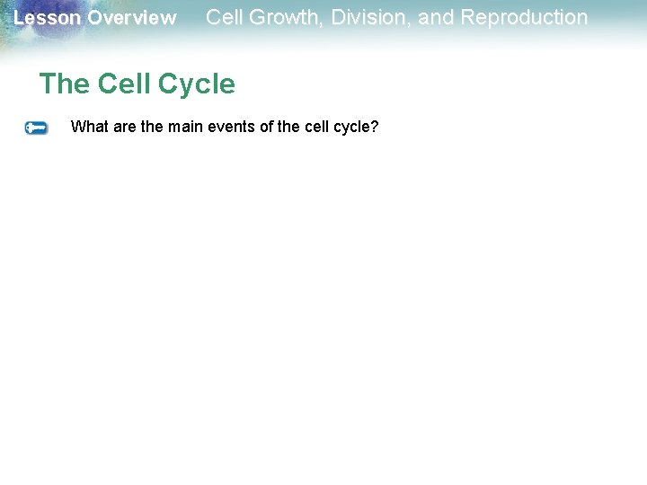 Lesson Overview Cell Growth, Division, and Reproduction The Cell Cycle What are the main Lesson Overview Cell Growth, Division, and Reproduction The Cell Cycle What are the main