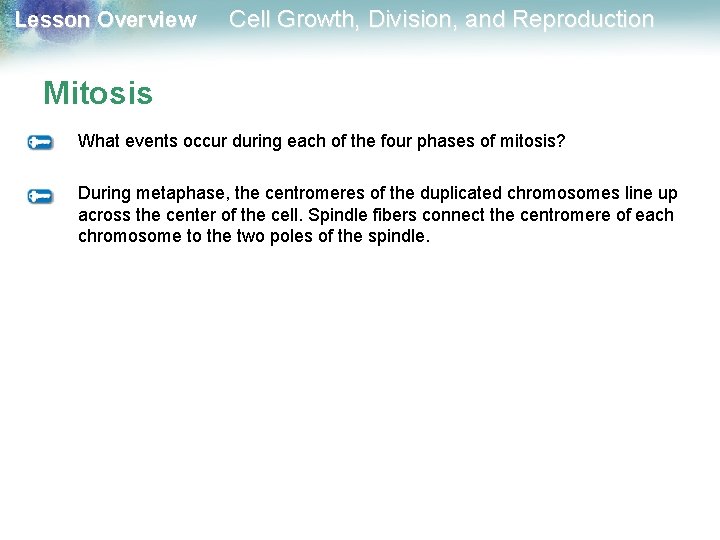 Lesson Overview Cell Growth, Division, and Reproduction Mitosis What events occur during each of Lesson Overview Cell Growth, Division, and Reproduction Mitosis What events occur during each of