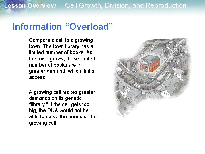 Lesson Overview Cell Growth, Division, and Reproduction Information “Overload” Compare a cell to a Lesson Overview Cell Growth, Division, and Reproduction Information “Overload” Compare a cell to a