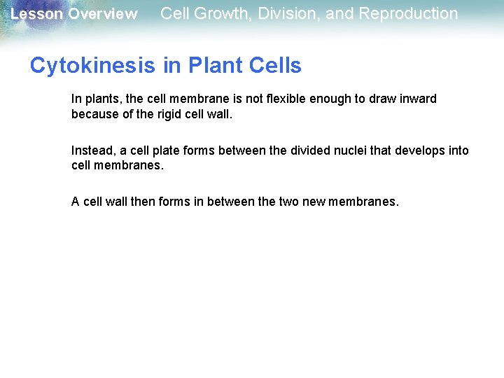 Lesson Overview Cell Growth, Division, and Reproduction Cytokinesis in Plant Cells In plants, the Lesson Overview Cell Growth, Division, and Reproduction Cytokinesis in Plant Cells In plants, the