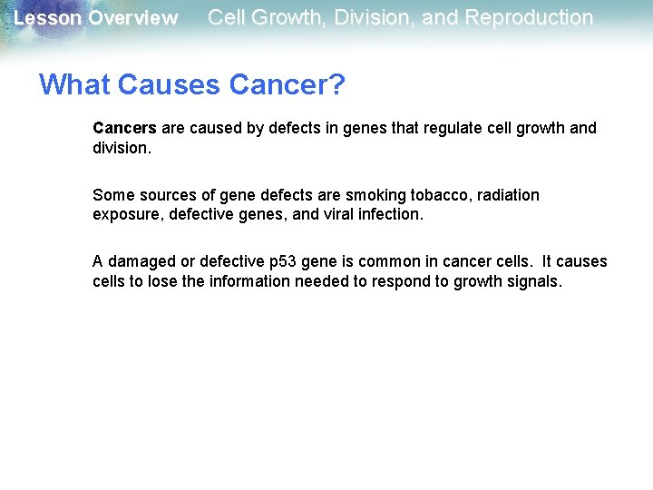 Lesson Overview Cell Growth, Division, and Reproduction What Causes Cancer? Cancers are caused by Lesson Overview Cell Growth, Division, and Reproduction What Causes Cancer? Cancers are caused by