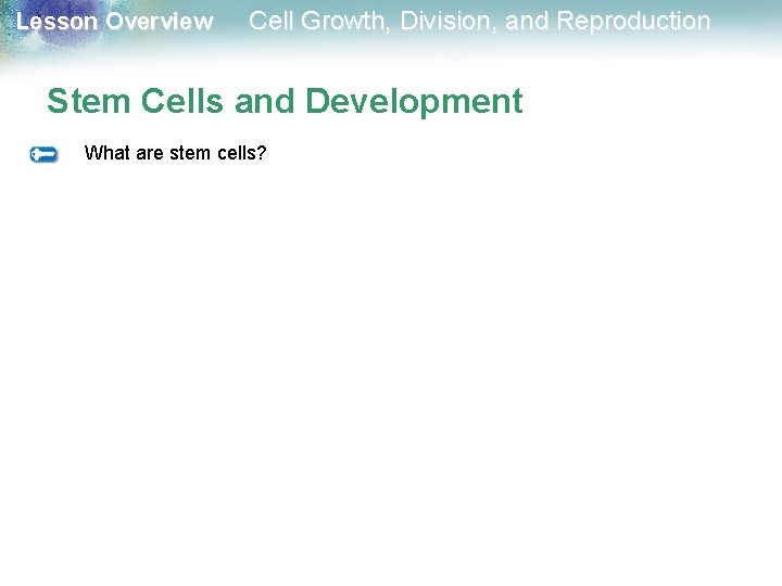 Lesson Overview Cell Growth, Division, and Reproduction Stem Cells and Development What are stem Lesson Overview Cell Growth, Division, and Reproduction Stem Cells and Development What are stem