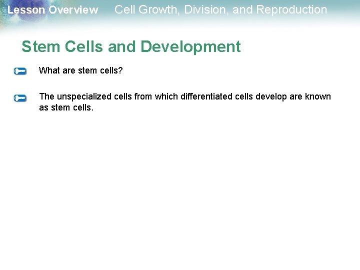 Lesson Overview Cell Growth, Division, and Reproduction Stem Cells and Development What are stem Lesson Overview Cell Growth, Division, and Reproduction Stem Cells and Development What are stem