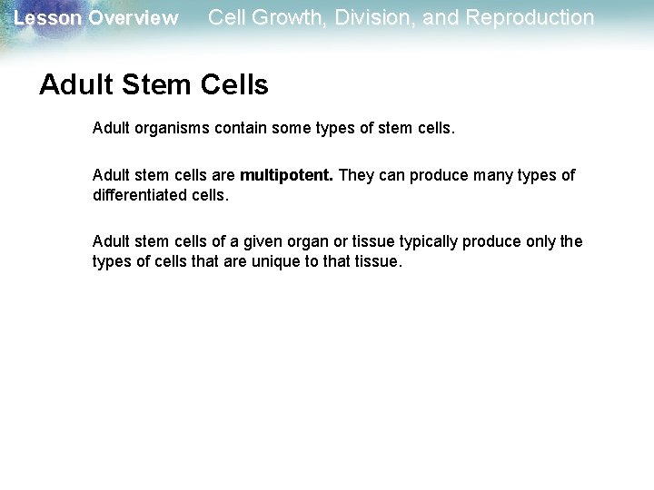 Lesson Overview Cell Growth, Division, and Reproduction Adult Stem Cells Adult organisms contain some Lesson Overview Cell Growth, Division, and Reproduction Adult Stem Cells Adult organisms contain some