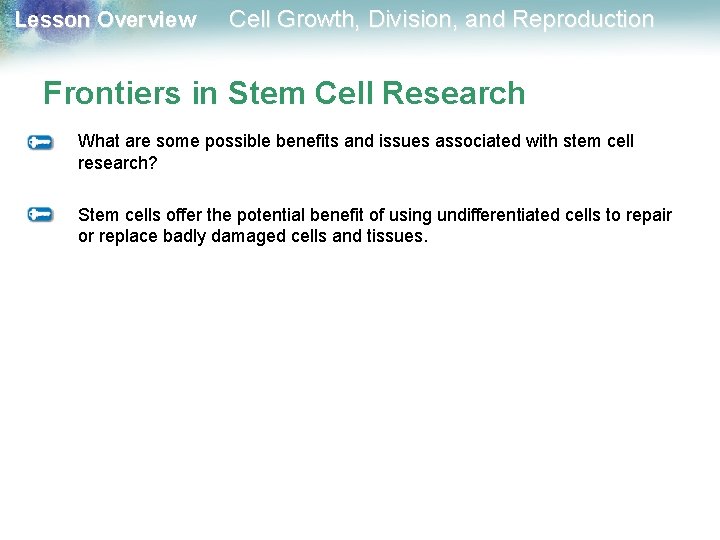 Lesson Overview Cell Growth, Division, and Reproduction Frontiers in Stem Cell Research What are Lesson Overview Cell Growth, Division, and Reproduction Frontiers in Stem Cell Research What are