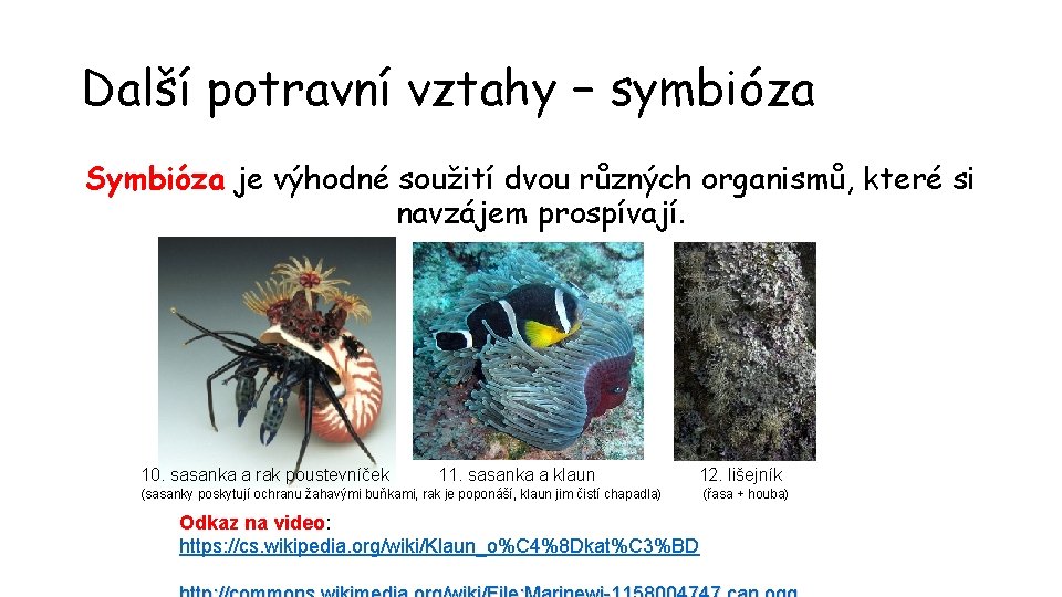 Další potravní vztahy − symbióza Symbióza je výhodné soužití dvou různých organismů, které si