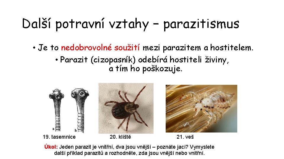 Další potravní vztahy − parazitismus • Je to nedobrovolné soužití mezi parazitem a hostitelem.