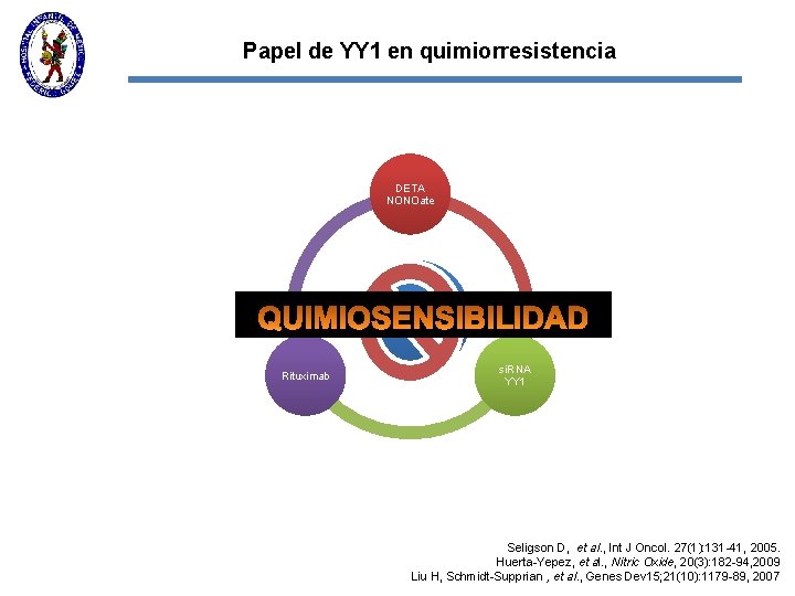 Papel de YY 1 en quimiorresistencia DETA NONOate YY 1 Rituximab si. RNA YY