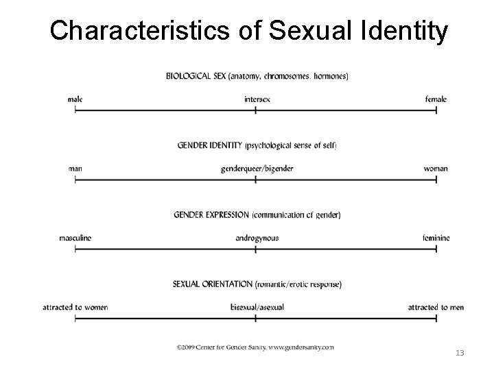 Characteristics of Sexual Identity 13 Characteristics of Sexual Identity 13
