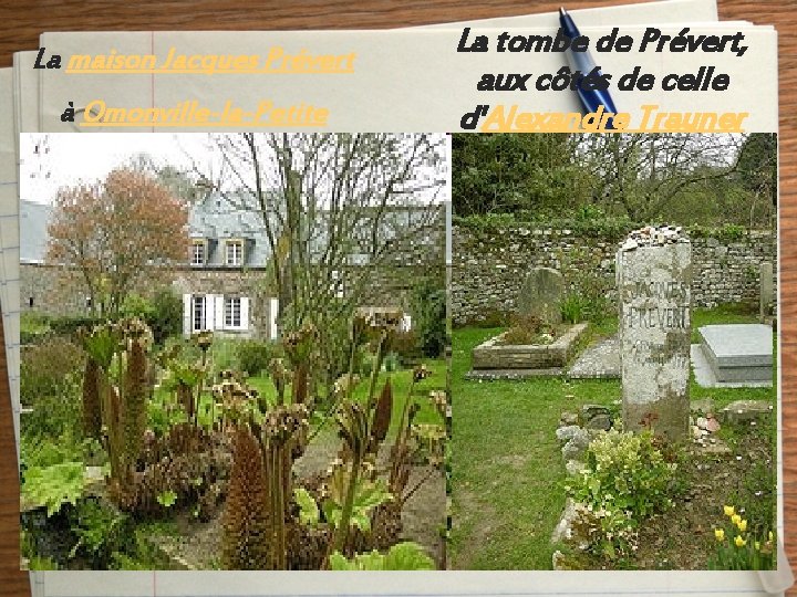 La maison Jacques Prévert à Omonville-la-Petite La tombe de Prévert, aux côtés de celle