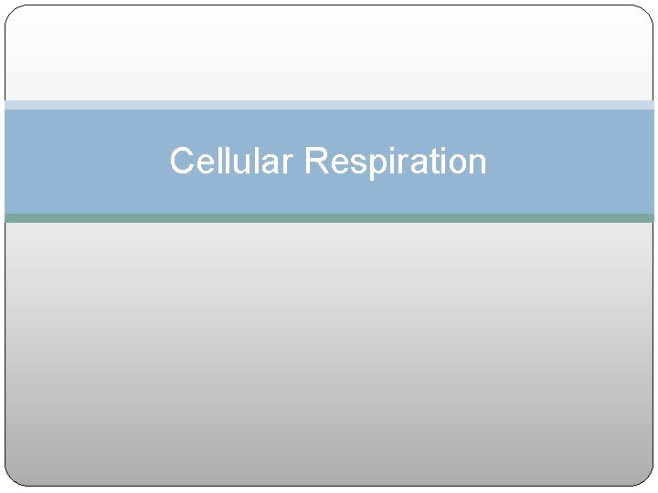 Cellular Respiration 