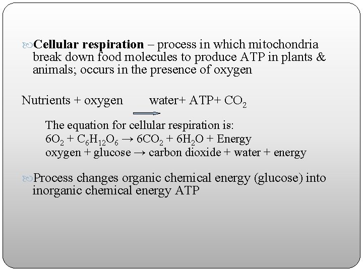  Cellular respiration – process in which mitochondria break down food molecules to produce