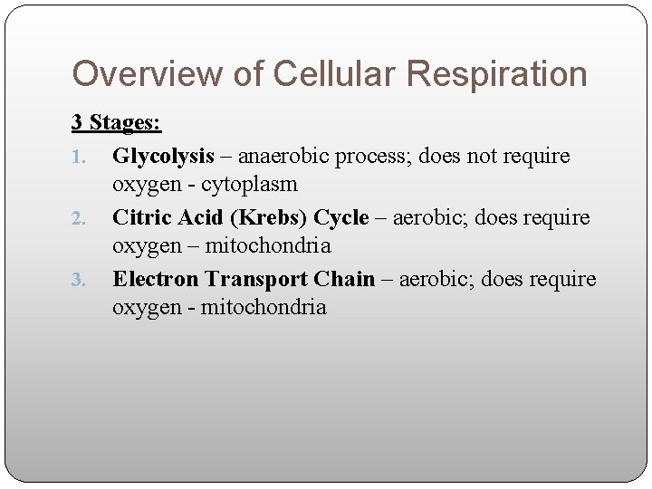 Overview of Cellular Respiration 3 Stages: 1. Glycolysis – anaerobic process; does not require