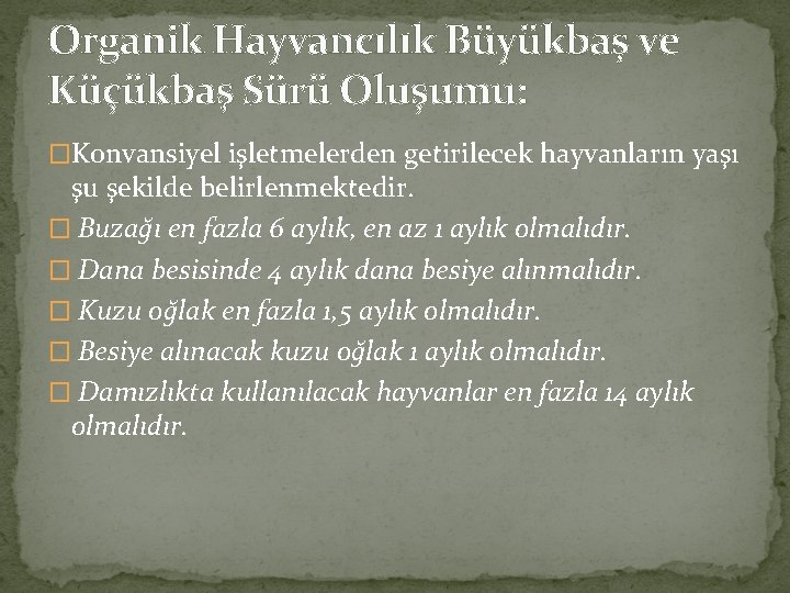 Organik Hayvancılık Büyükbaş ve Küçükbaş Sürü Oluşumu: �Konvansiyel işletmelerden getirilecek hayvanların yaşı şu şekilde