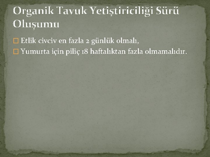 Organik Tavuk Yetiştiriciliği Sürü Oluşumu � Etlik civciv en fazla 2 günlük olmalı, �