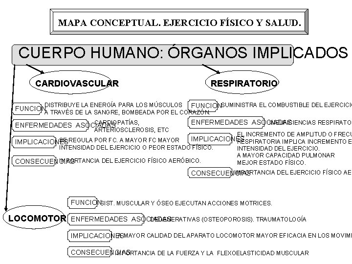 MAPA CONCEPTUAL. EJERCICIO FÍSICO Y SALUD. CUERPO HUMANO: ÓRGANOS IMPLICADOS CARDIOVASCULAR RESPIRATORIO DISTRIBUYE LA