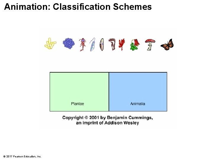 Animation: Classification Schemes © 2017 Pearson Education, Inc. Animation: Classification Schemes © 2017 Pearson Education, Inc.